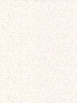 Belbien S-571 Cool Guache Stone architectural film swatch