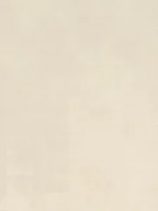 Belbien S-654 Malta Beige Stone architectural film swatch