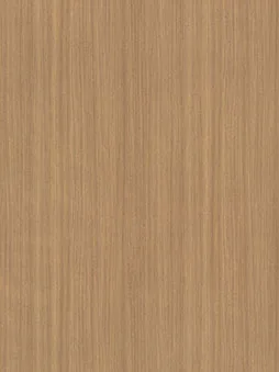Belbien SW-128 Naked Elm (S) Wood architectural film swatch