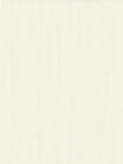 Belbien SW-133 Snow Elm (S) Wood architectural film swatch