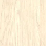 Belbien SW-76 White Elm (SC) Wood architectural film swatch