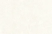 Belbien TX-020 Precious White Enzu Basic Color architectural film swatch