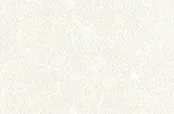 Belbien TX-022 Misty White Enzu Basic Color architectural film swatch