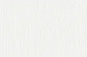 Belbien TX-080 Warm White Woody Basic Color architectural film swatch