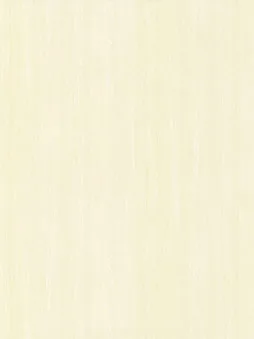 Belbien W-200 White Oak (S) Wood architectural film swatch