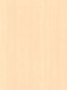 Belbien W-213 Cremona Sycamore (S) Wood architectural film swatch