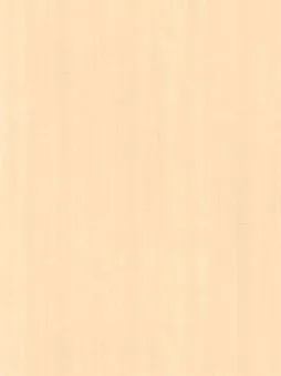 Belbien W-213 Cremona Sycamore (S) Wood architectural film swatch