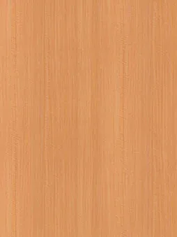 Belbien W-255 Coupé Anigre (S) Wood architectural film swatch
