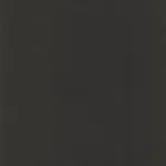 Belbien W-303 Black Oak (S) Wood architectural film swatch