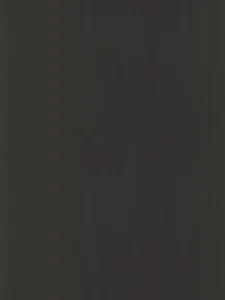 Belbien W-303 Black Oak (S) Wood architectural film swatch