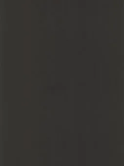 Belbien W-303 Black Oak (S) Wood architectural film swatch