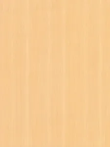 Belbien W-316 Franc Poplar (S) Wood architectural film swatch