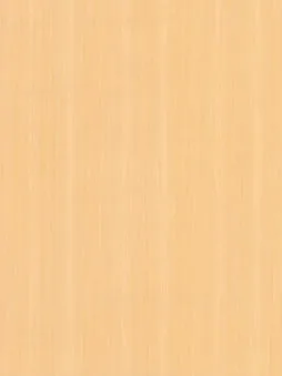 Belbien W-316 Franc Poplar (S) Wood architectural film swatch