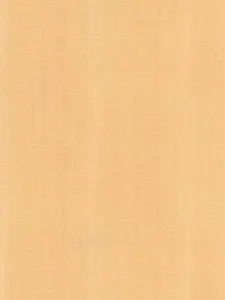 Belbien W-320 Léger Maple (S) Wood architectural film swatch