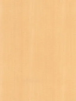 Belbien W-320 Léger Maple (S) Wood architectural film swatch