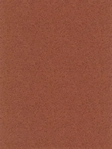 Belbien W-378 Jaguar Burl (B) Wood architectural film swatch