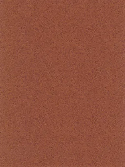 Belbien W-378 Jaguar Burl (B) Wood architectural film swatch