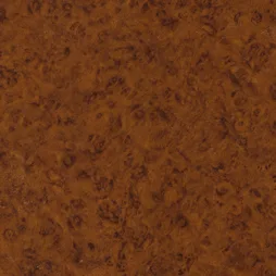 Belbien W-378 Jaguar Burl (B) Wood architectural film swatch