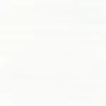 Belbien W-621 Snow Larch (S) Wood architectural film swatch