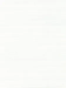 Belbien W-621 Snow Larch (S) Wood architectural film swatch