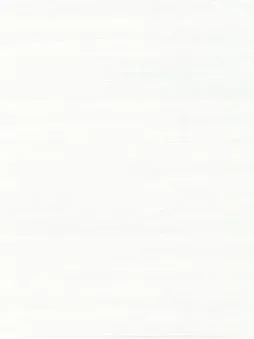 Belbien W-621 Snow Larch (S) Wood architectural film swatch