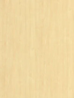 Belbien W-638 Plain Maple(SC) Wood architectural film swatch