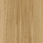 Belbien W-657 Plain Elm(SC) Wood architectural film swatch