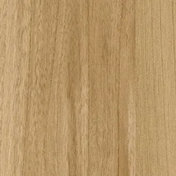 Belbien W-657 Plain Elm(SC) Wood architectural film swatch