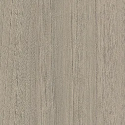 Belbien W-658 Greige Medium Elm (SC) Wood architectural film swatch
