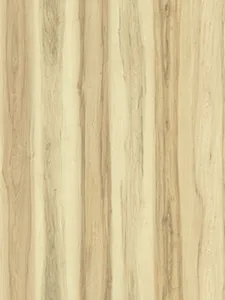 Belbien W-664 Marcato Maple(C) Wood architectural film swatch