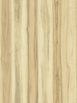 Belbien W-664 Marcato Maple(C) Wood architectural film swatch