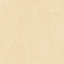 Belbien W-685 Courtyard Light Birch（Ｃ） Wood architectural film swatch