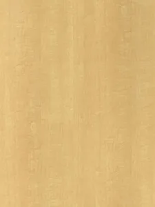 Belbien W-786 Leo Maple Wood architectural film swatch