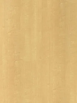 Belbien W-786 Leo Maple Wood architectural film swatch