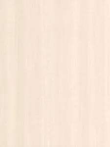 Belbien WA-256 Fresh Anigre (S) Wood architectural film swatch