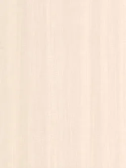 Belbien WA-256 Fresh Anigre (S) Wood architectural film swatch