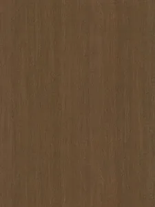 Belbien WB-404 Gale Oak (S) Wood architectural film swatch