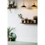 Brewster Edward - White Wallpaper | Buy Online Brewster Edward wallpaper, color White, SKU 437-RD0602