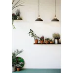 Brewster Edward - White Wallpaper | Buy Online Brewster Edward wallpaper, color White, SKU 437-RD0602