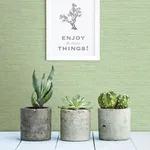 Brewster Bluestem wallpaper, color Green, SKU 2767-24284