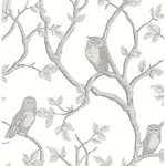 Brewster Enchanted Forest wallpaper, color Grey, SKU FD23289