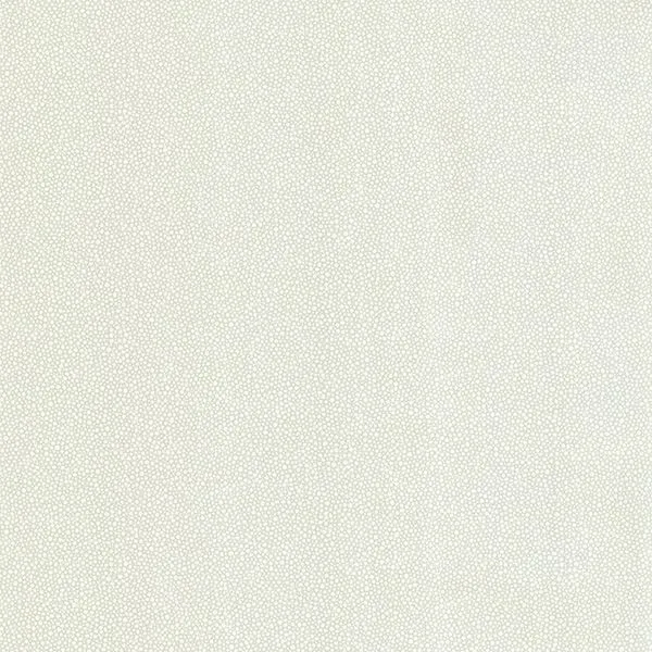 Brewster Collishaw wallpaper, color Green, SKU 347-20022
