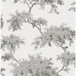 Brewster Ashdown - Grey Wallpaper | Buy Online Brewster Ashdown wallpaper, color Grey, SKU M1671