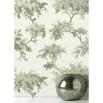 Brewster Ashdown - Sage Wallpaper | Buy Online Brewster Ashdown wallpaper, color Sage, SKU M1674