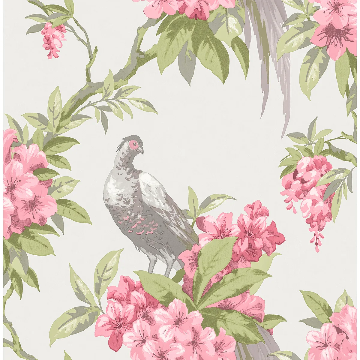 Brewster Golden Pheasant wallpaper, color Rose, SKU M1664