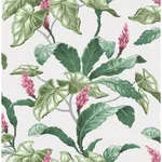 Brewster Meridian Parade wallpaper, color Green, SKU M1692