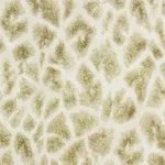 Brewster Montone - Beige Wallpaper | Buy Online Brewster Montone wallpaper, color Beige, SKU 2871-88702