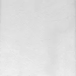 Brewster Crows - Paintable Wallpaper | Buy Online Brewster Crows wallpaper, color Paintable, SKU 497-32818