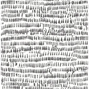Brewster Runes wallpaper, color Black, SKU 2904-24354