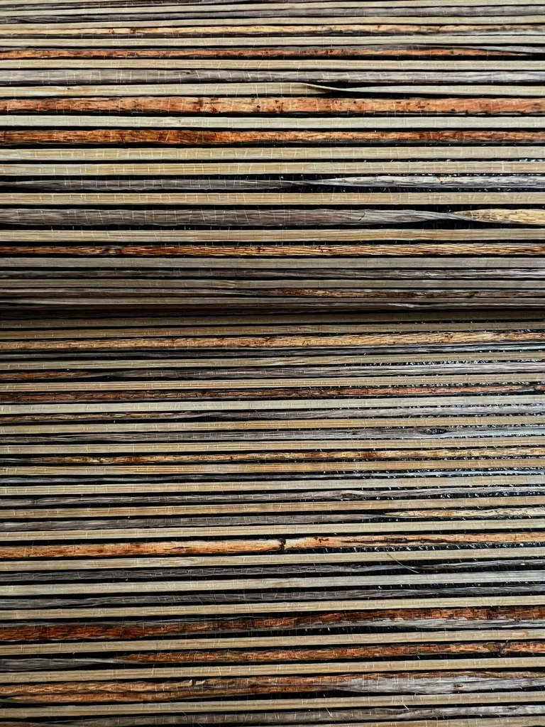 Candice Olson Bamboo wallpaper, color Black, SKU NT6101